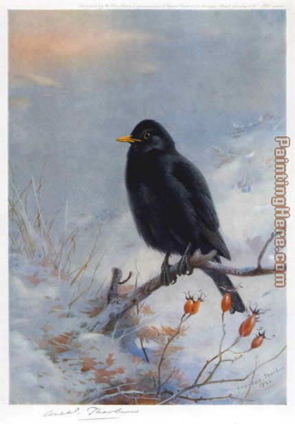 Winter Blackbird painting - Archibald Thorburn Winter Blackbird art painting